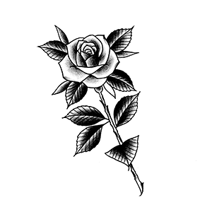 Rosa Old School