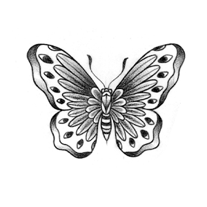 Borboleta 01