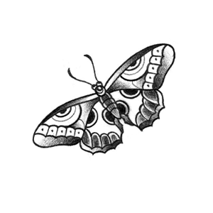 Borboleta 03