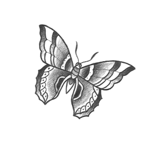 Borboleta 04