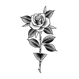 Rosa Old School 02