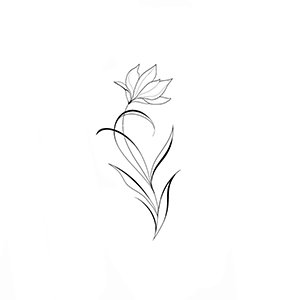 Flores Delicadas
