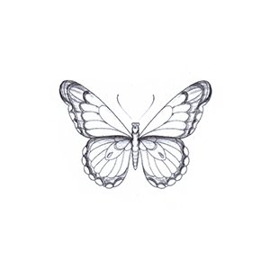 Borboleta Luz