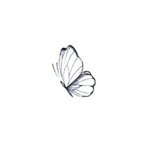 Free butterfly