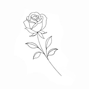 Flor rosa