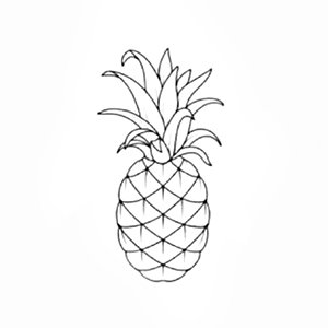 Abacaxi