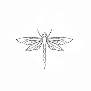 Libélula