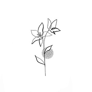 Flores do Sol