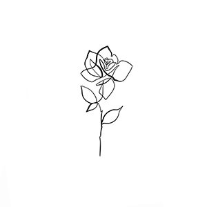 Linha de Rosa