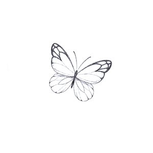 Borboleta