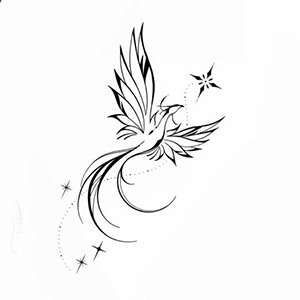 A Fênix e a Estrela