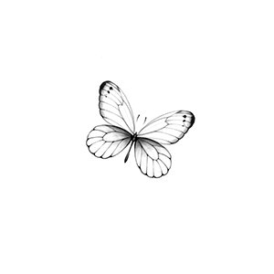 Pequena Borboleta
